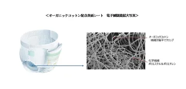 ＜オーガニックコットン配合表面シート　電子顕微鏡拡大写真＞