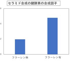 フラーレンにより肌の保湿力アップ！！～保湿に必要なセラミド増加のメカニズムを確認～