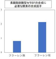 長鎖脂肪酸を持つセラミドの合成因子の量が増加