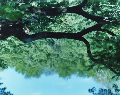 (C) Risaku Suzuki 2017