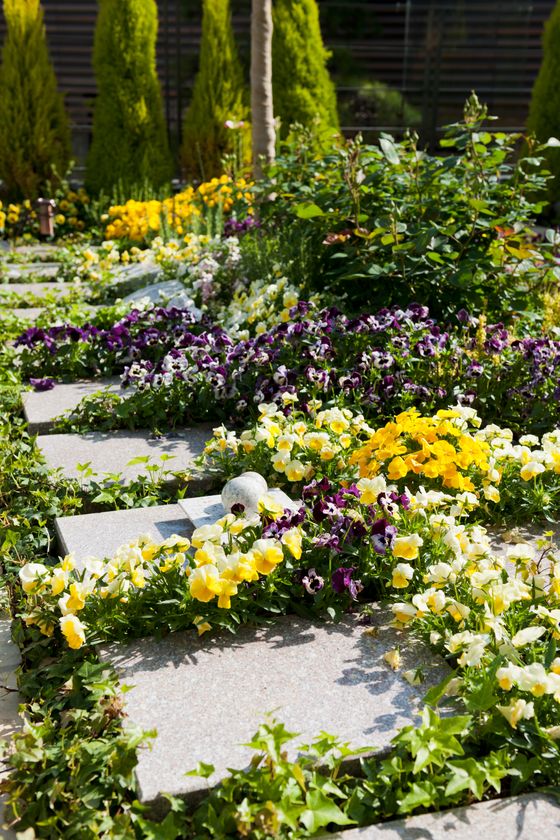 問合せ倍増！続々とオープンする都心の樹木葬墓地
8/23からのエンディング産業展で、樹木葬体験