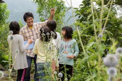 絶滅危惧種の花「ヒゴタイ」で一足先に秋の花を楽しむお花見会を8月27日広島県庄原市にて開催