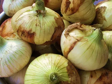 新玉葱