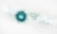 MOLD