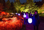 高橋匡太 「Glow with Night Garden Project in Rokko 提灯行列ランドスケープ」 2016年