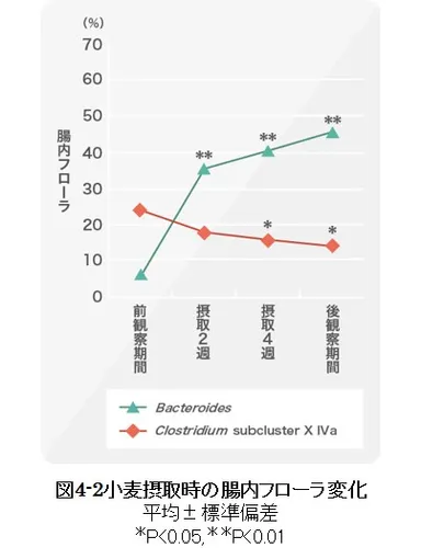 図4-2 小麦摂取時の腸内フローラ変化