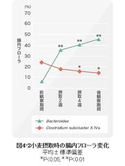 図4-2 小麦摂取時の腸内フローラ変化