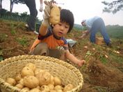 信州の素晴らしい土で育つ「白土馬鈴薯」が当たる！