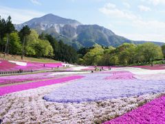 ベルトラ、秩父・川越エリアへの送客強化　訪日旅行者向け商品のオンライン販売を9月1日開始