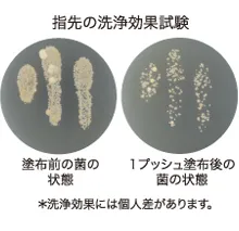洗浄効果試験
