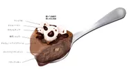 マックス ブレナー チョコレートチャンクアイスクリーム(4)