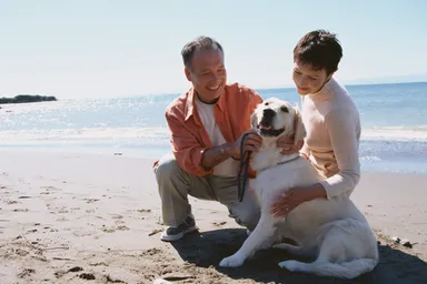 ペット供養もできます