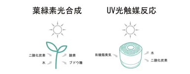 UV LED 光触媒技術