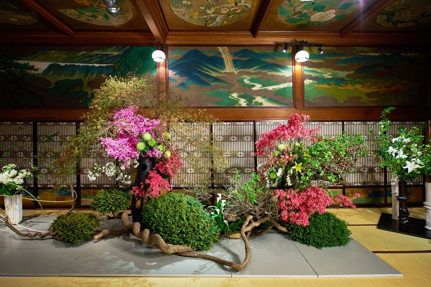 紅葉から秋の七草まで 秋の草花が文化財に咲き乱れる いけばな51