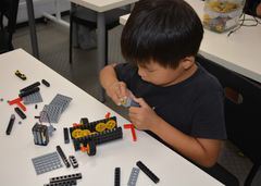 img_136446_4.jpg