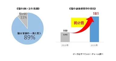 《猫の飼い主の意識》　《猫の副食使用率の変化》