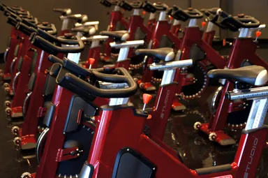 サイクルイメージ