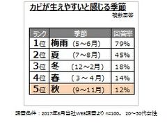 図表4　カビが生えやすいと感じる季節