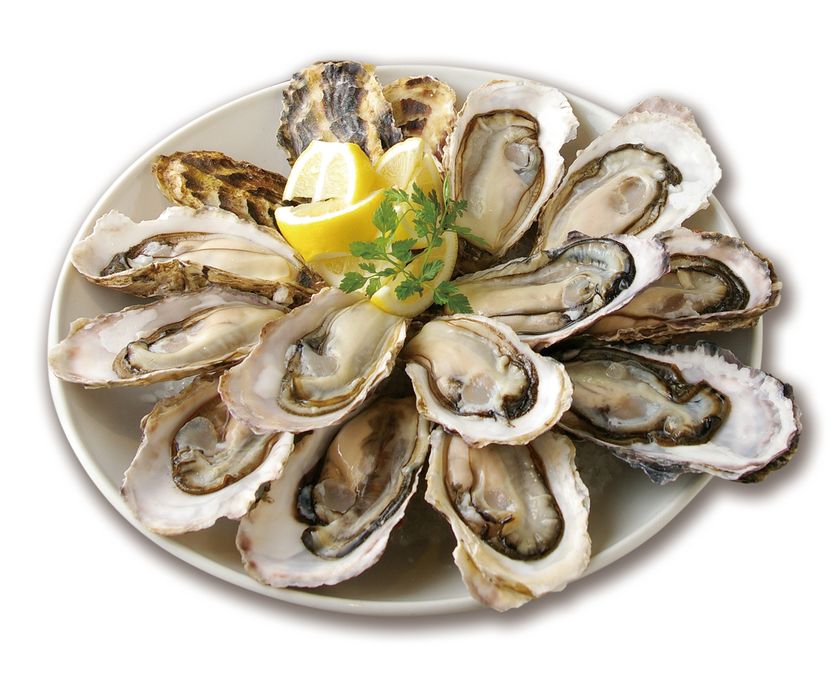 生牡蠣が全品半額！ 
オイスター オータムセール！　9/12～/24の13日間 終日開催