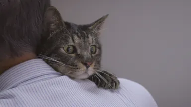 敬老の日Webムービー　キャプチャー6