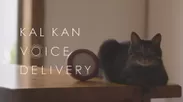 「KAL KAN VOICE DELIVERY」