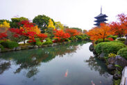 早朝の通常開門前や夜間、秋の京都を貸し切る！京都ブライトンホテルだけの『早朝・夜間特別拝観プラン』