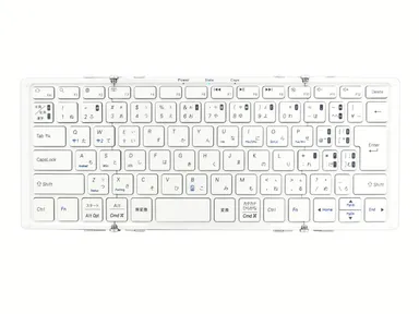 ホワイト/シルバー