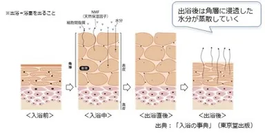 入浴による皮膚の変化