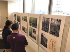 パネル展示で役割や歴史を理解