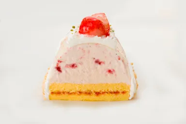 アイスケーキ 断面