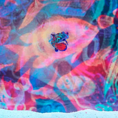 「The Deep  Red, Green and Blue Yonder　深い赤、緑、青、そしてその向こうへ」