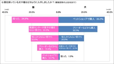 ペットの入手方法