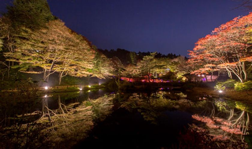 ライトアップされた紅葉とアートを楽しむ
六甲高山植物園　夜の紅葉散策
10月20日(金)～11月12日(日)開催！