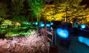 Glow with Night Garden Project in Rokko 提灯行列ランドスケープ 2016