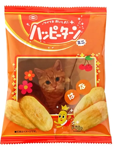 マイハッピーターン作成例