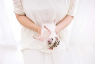 「ボクの針は痛くない」画像６