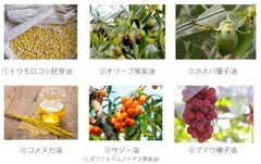 6種の植物オイル