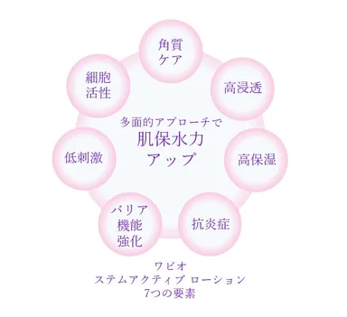 ステムアクティブローションの肌保水力アップ