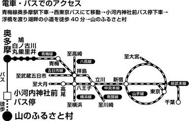 電車・バスでのアクセス