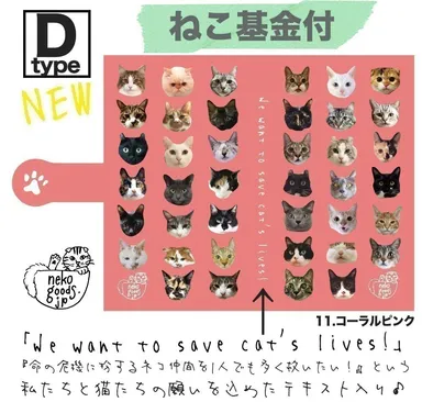 命の危機に扮するネコ仲間を1人でも多く救いたいという強い想い