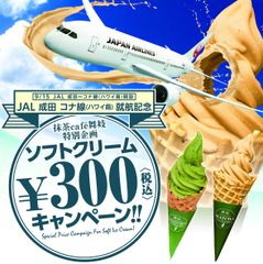 300円キャンペーン(2)