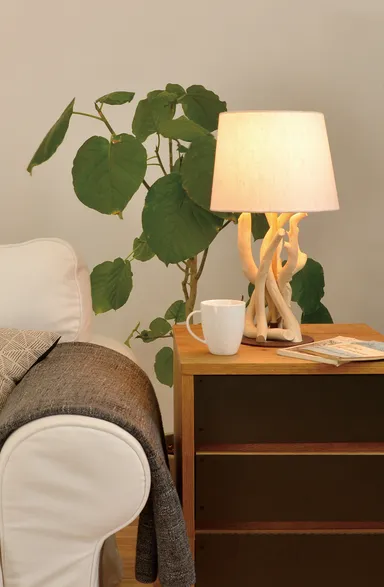 DRIFT WOOD TABLE(ドリフトウッド・テーブル)16,000円