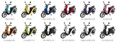 豊富なカラーバリエーション