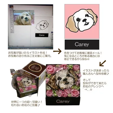 マイペットフラワー手順