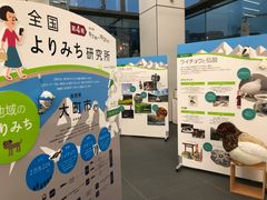 全国よりみち研究所 展示