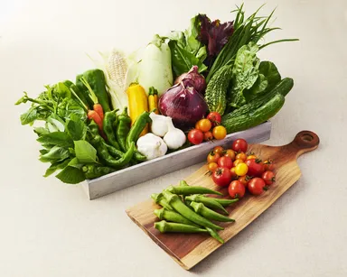 18品提案プランの一例