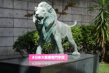 日体大シンボルのライオン像