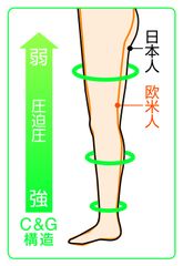 日本人体型に基づく高いフィット性