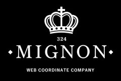 株式会社ミニヨン