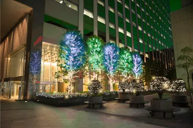 今年のクリスマスイルミネーション(イメージ)2